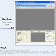 NetBoar