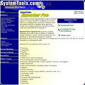 SystemTools Remote Control Manager