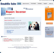 Report Inverter for Excel