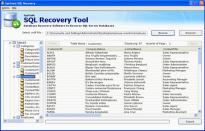 MS SQL Recovery