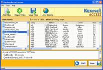 Kernel Access Database Repair Software