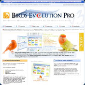 Birds Evolution Pro