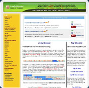 Lively Browser Premier