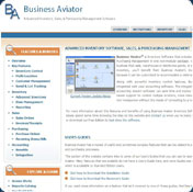 Business Aviator
