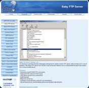 Portable Baby FTP Server