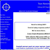 Team Remote ASP Debugger