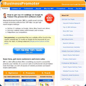 Internet Business Promoter (IBP)