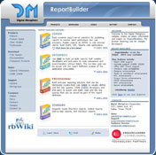 ReportBuilder Standard
