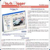 FlashDigger Plus