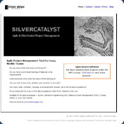 Silver Catalyst