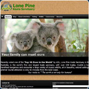 Koala Screen Saver